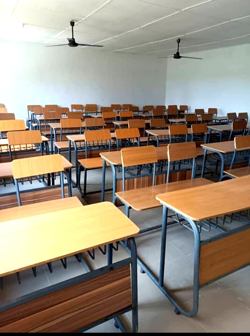 Management & Social Sciences